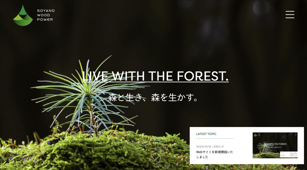 Webサイトを新規開設いたしました